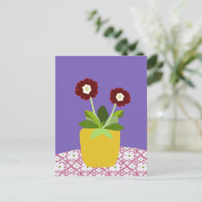 Postal Primula aricula Postcard (Anverso de pie)
