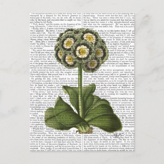 Postal Primula Auricula Blue (Anverso)