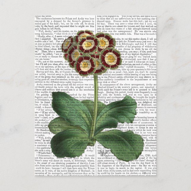Postal Primula Auricula Red (Anverso)