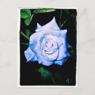 Postal Princesa azul pequeña