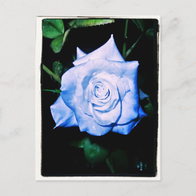 Postal Princesa azul pequeña (Anverso)