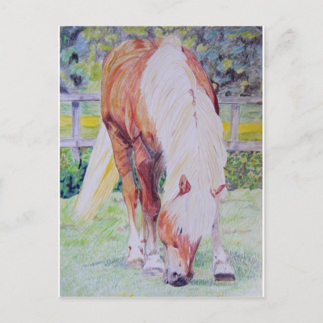 Postal Princesa Palomino (Anverso)