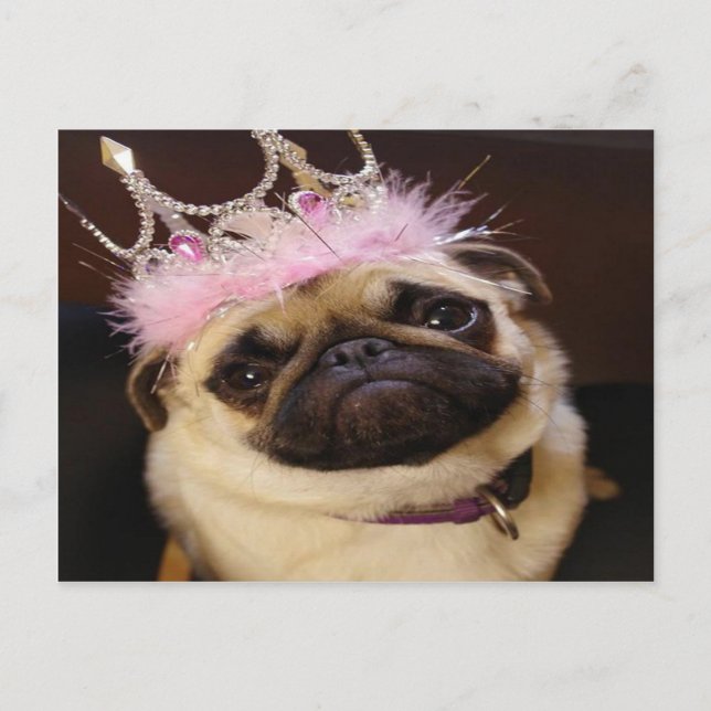 Postal Princesa Pug (Anverso)