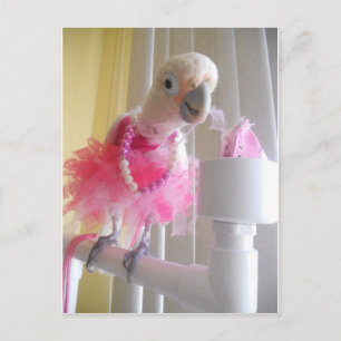 Postal Princess Ella Postcard