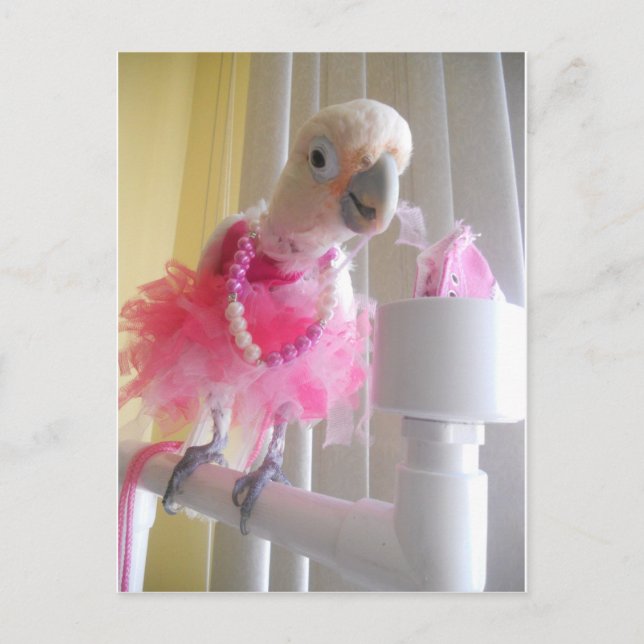 Postal Princess Ella Postcard (Anverso)