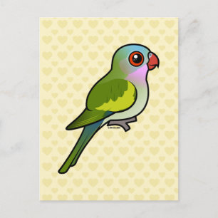 Postal Princess Parrot