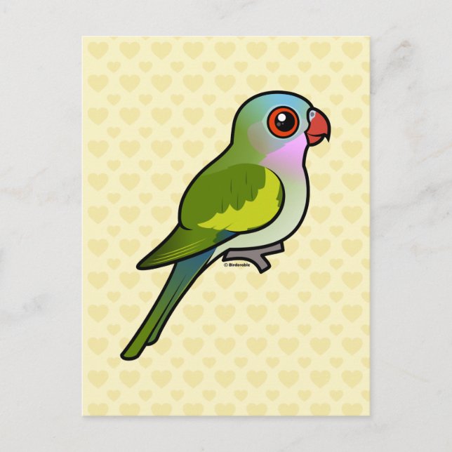 Postal Princess Parrot (Anverso)