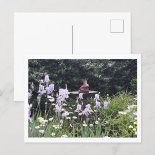 Postal Príncipes y flores de rana romántica