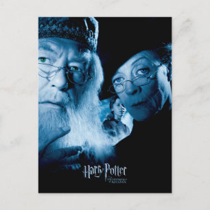 Postal Prisionero de Azkaban - Español 1