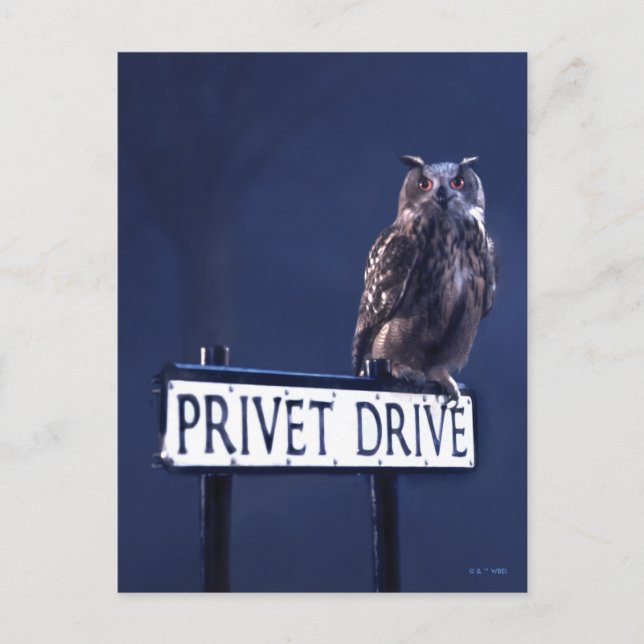 Postal Privet Drive (Anverso)