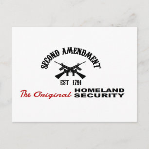 POSTAL PRO GUN: SEGURIDAD ORIGINAL DE LA PATRIA 2ª ENMIEN