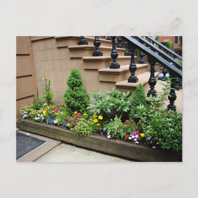 Postal Problema de la olla O (Anverso)