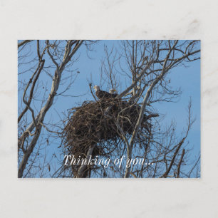 Postal Problema del águila doble