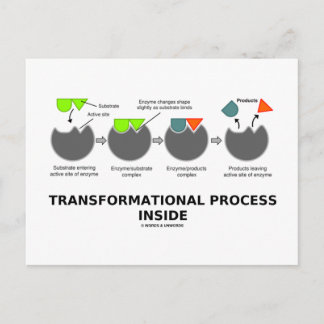 Postal Proceso de transformación interno (sustrato enzimá