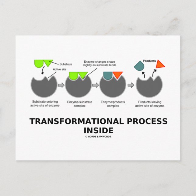 Postal Proceso de transformación interno (sustrato enzimá (Anverso)
