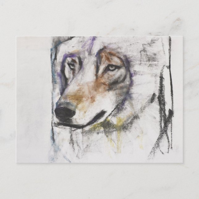 Postal Processo Al Lupo (Anverso)