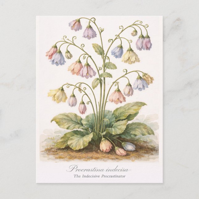 Postal Procrastina indecisa El Procrastinador Indeciso (Anverso)