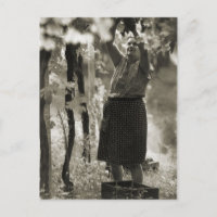 Producción de vino Cosecha de vino 3