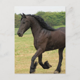 Postal Producto personalizar