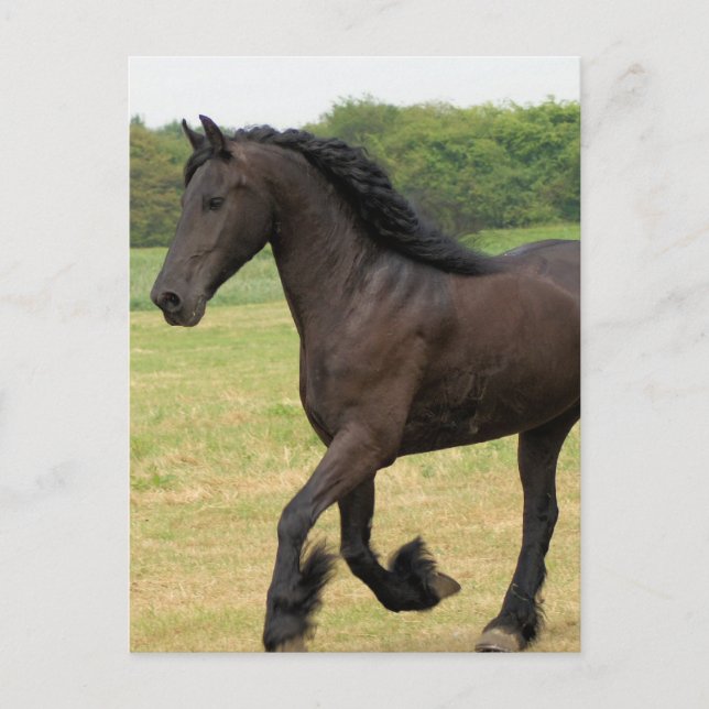 Postal Producto personalizar (Anverso)