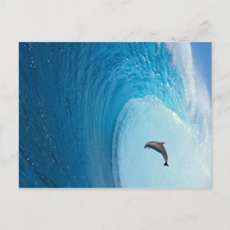 Postal Producto personalizar