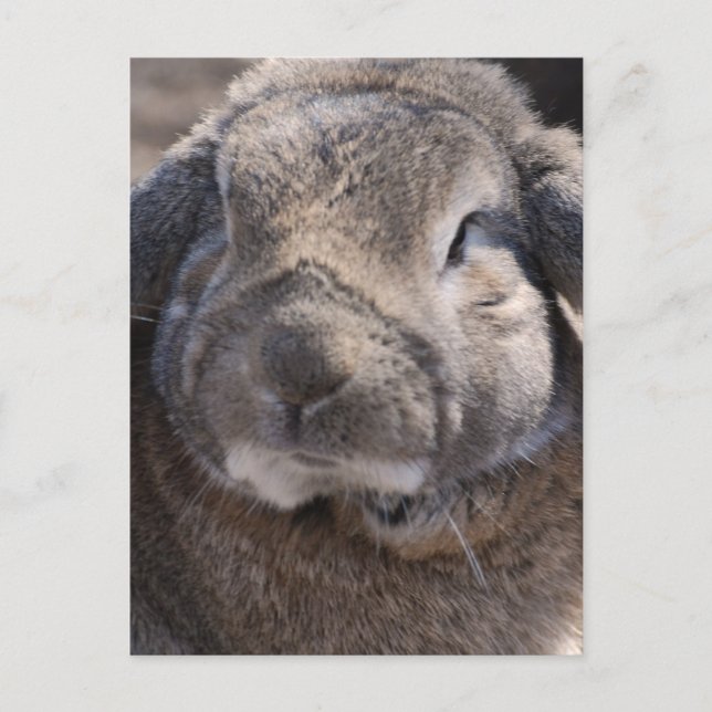 Postal Producto personalizar (Anverso)