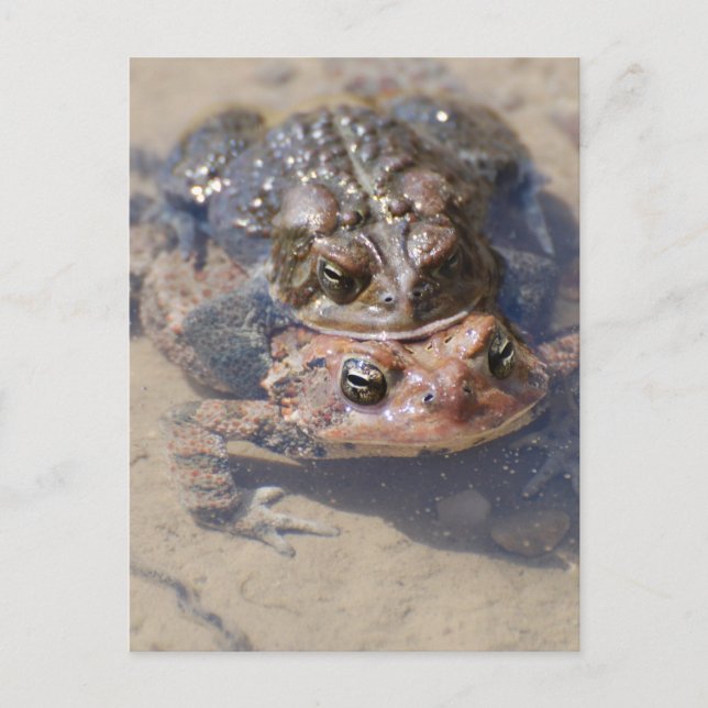 Postal Producto personalizar (Anverso)