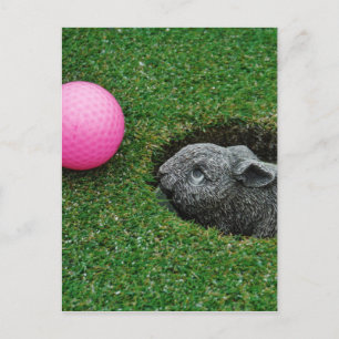 Postal Producto personalizar