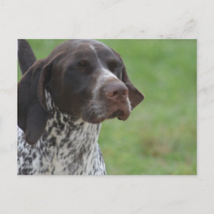 Postal Producto personalizar