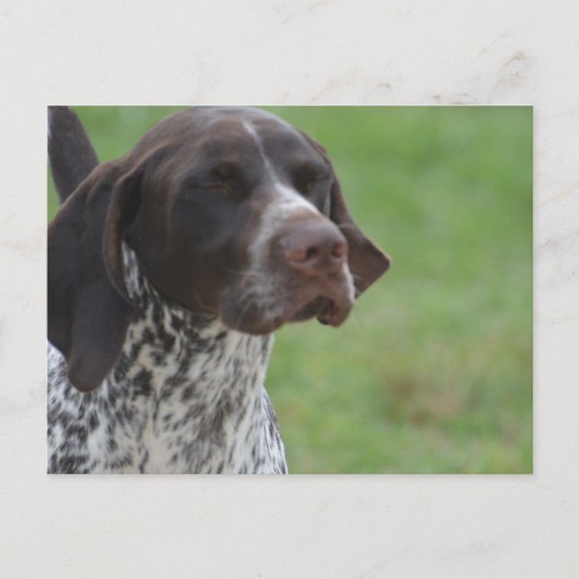 Postal Producto personalizar (Anverso)