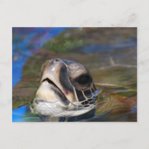 Postal Producto personalizar