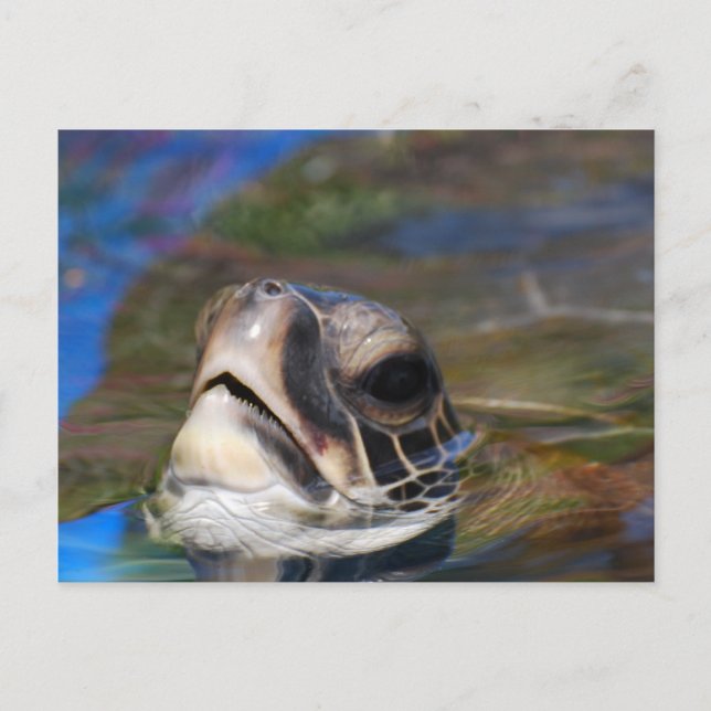 Postal Producto personalizar (Anverso)