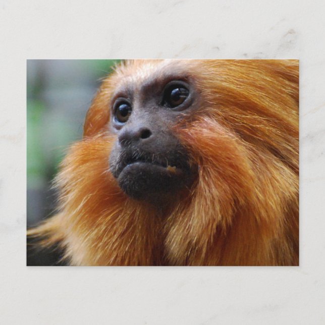 Postal Producto personalizar (Anverso)