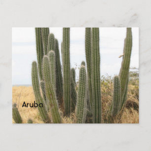 Postal Producto personalizar