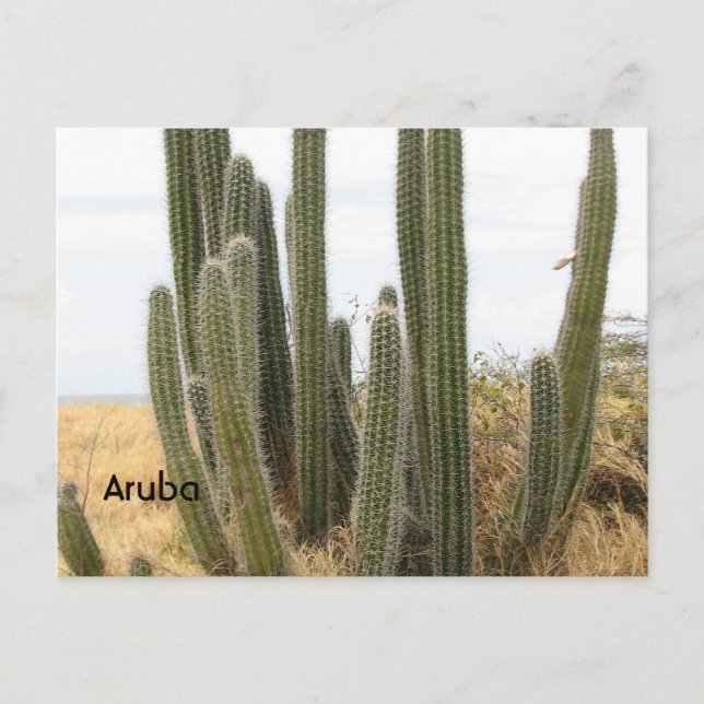 Postal Producto personalizar (Anverso)