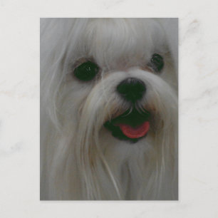 Postal Producto personalizar