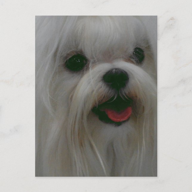 Postal Producto personalizar (Anverso)