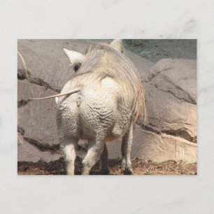 Postal Producto personalizar