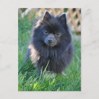 Postal Producto personalizar