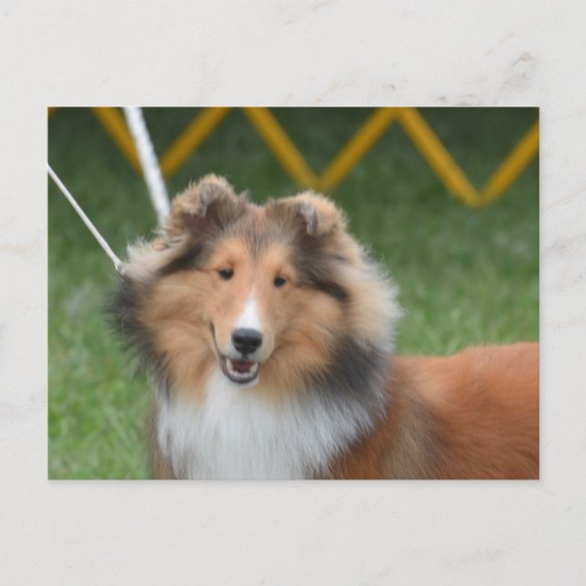 Postal Producto personalizar (Anverso)