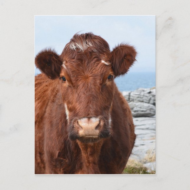 Postal Producto personalizar (Anverso)