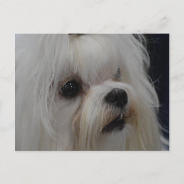 Postal Producto personalizar (Anverso)