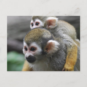 Postal Producto personalizar