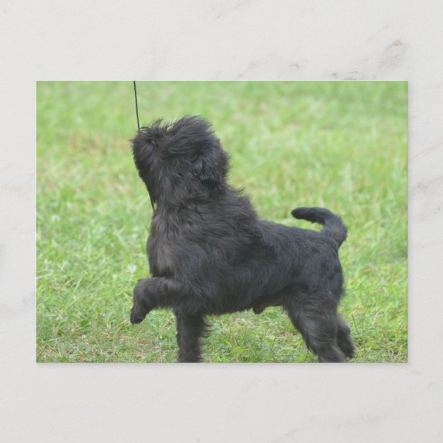 Postal Producto personalizar (Anverso)