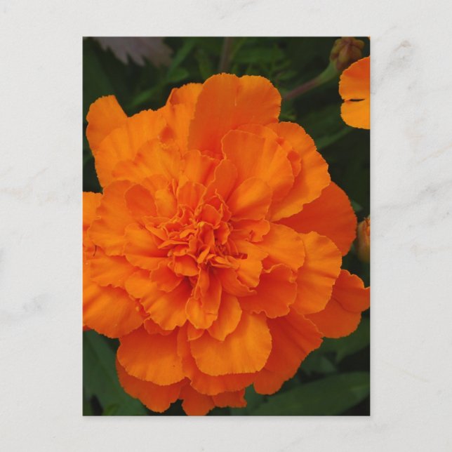 Postal Producto personalizar (Anverso)