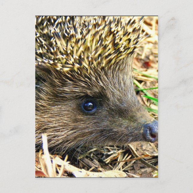 Postal Producto personalizar (Anverso)