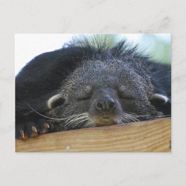 Postal Producto personalizar (Anverso)