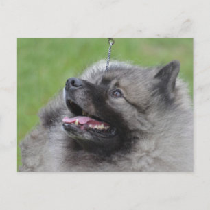 Postal Producto personalizar