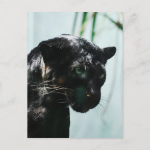 Postal Producto personalizar