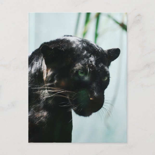 Postal Producto personalizar (Anverso)